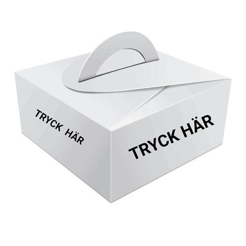 Presentförpackning med handtag